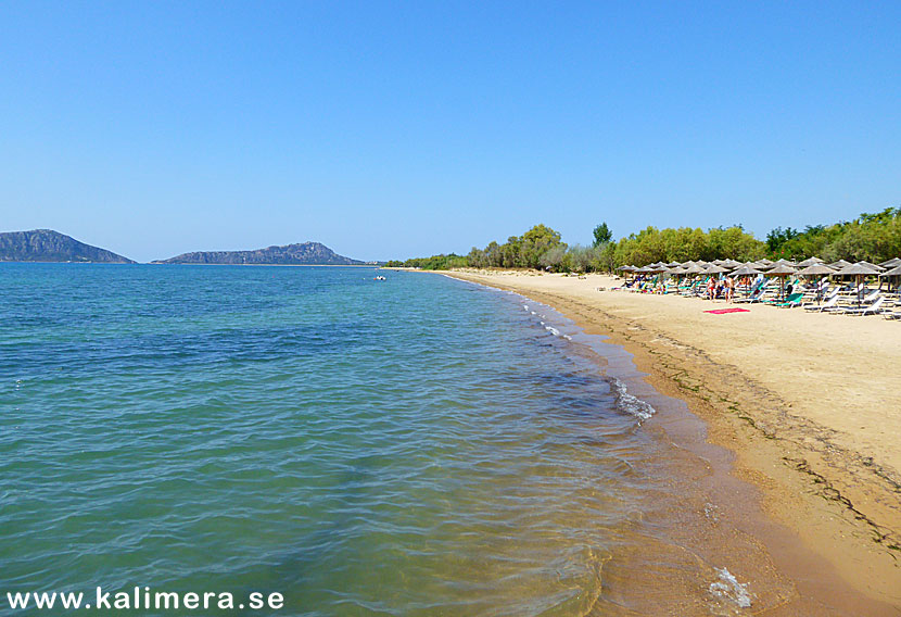 Gialova beach norr om Pylos på Peloponnesos.
