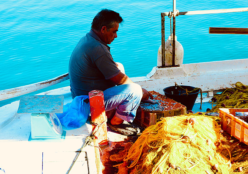 Gillar du färsk fisk och färska skaldjur så kommer du älska fiskrestaurangerna i Pylos.