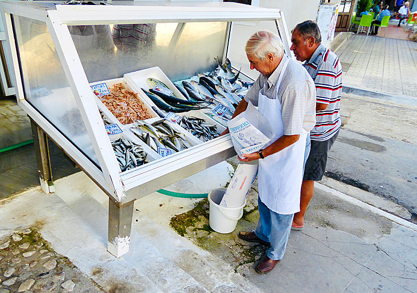 Fiskaffär vid torget i Pylos.