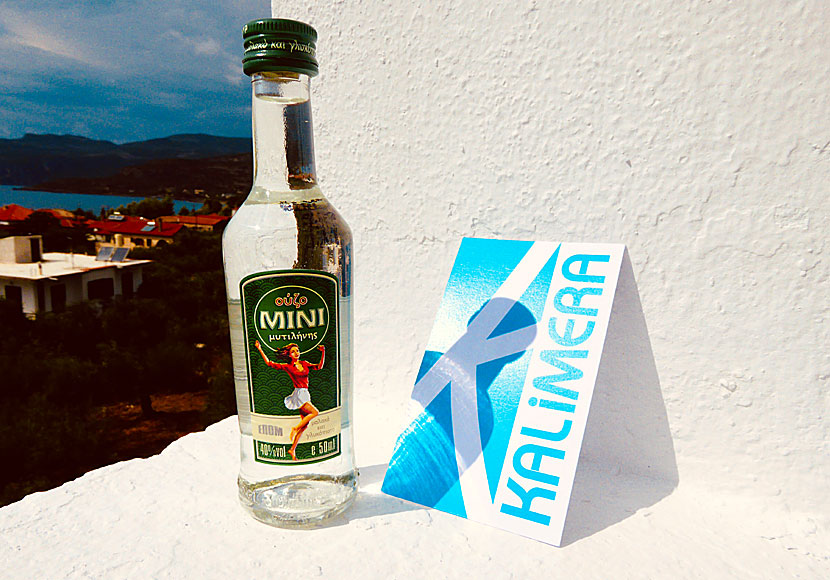 Kalimera Janne och boken I skuggan av en liten ouzo av Staffan Stolpe på en balkong i Kardamili i Mani på Peloponnesos. 