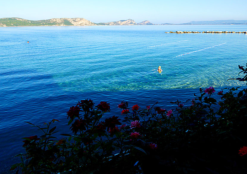 Snorkla i Pylos på Peloponnesos. 