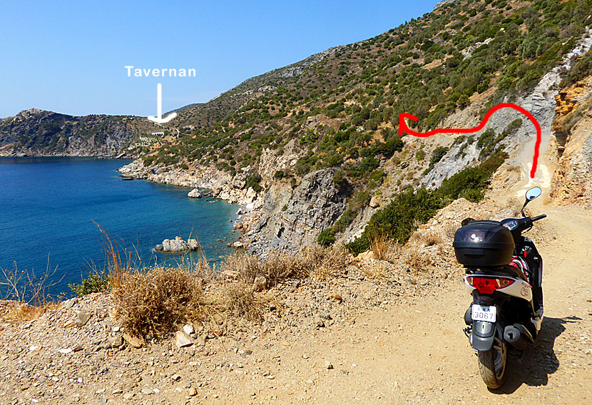Vägen till Taverna at the end of the world på Samos.