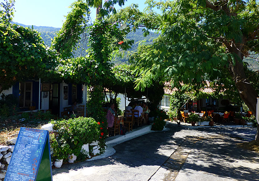Bra restauranger och tavernor i byn Manolates på Samos. 
