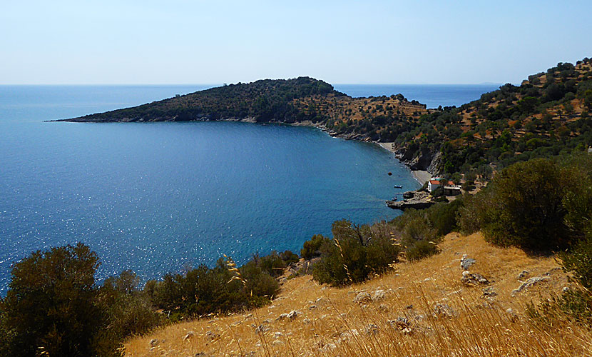 Man bjuds på vackra vyer längs kusten längs vägen till Taverna at the end of the world på Samos.