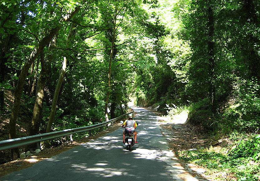 Den vackra vägen upp till Manolatos på Samos.