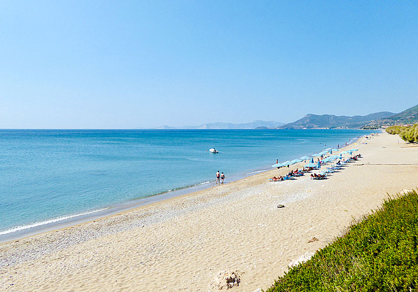 Den långa fina sandstranden Votsalakia beach på västra Samos.