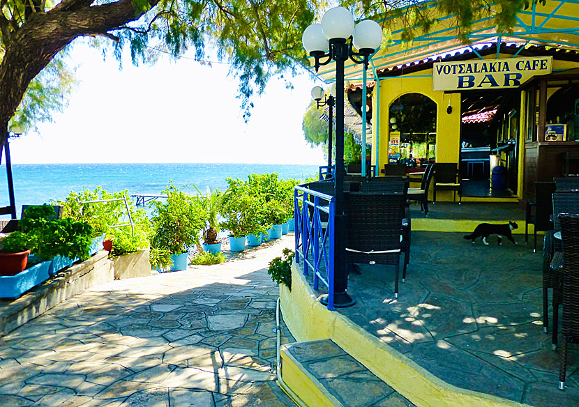 Votsalakia Cafe Bar i Votsalakia på västra Samos.