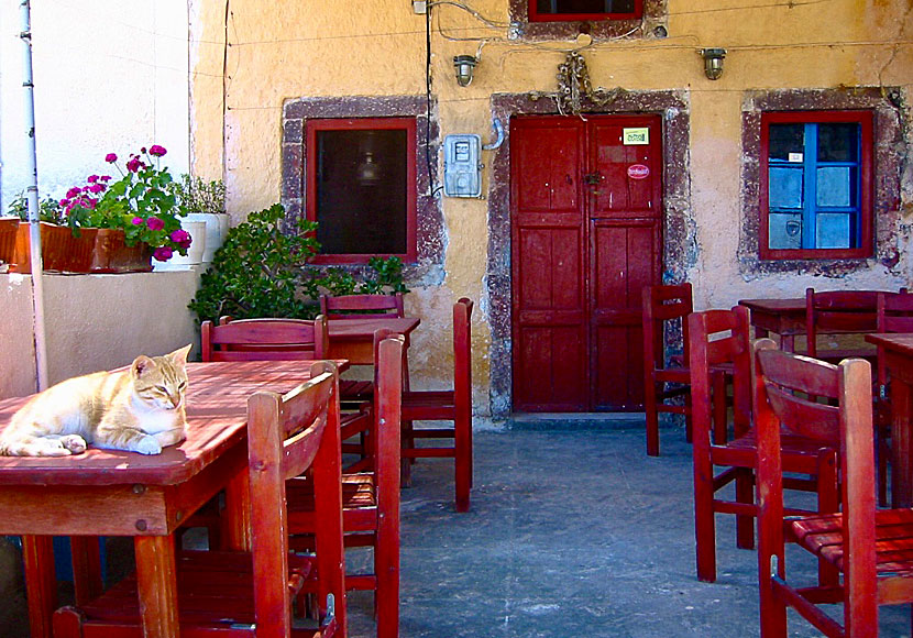 Tavernor och restauranger i Meso Gonia och Exo Gonia.