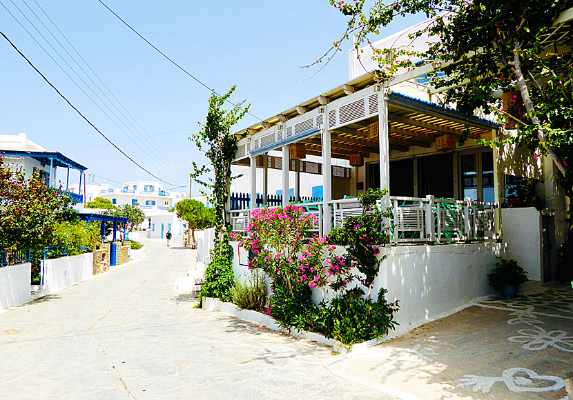 Taverna Kira Pothiti i Chora på  Schinoussa.