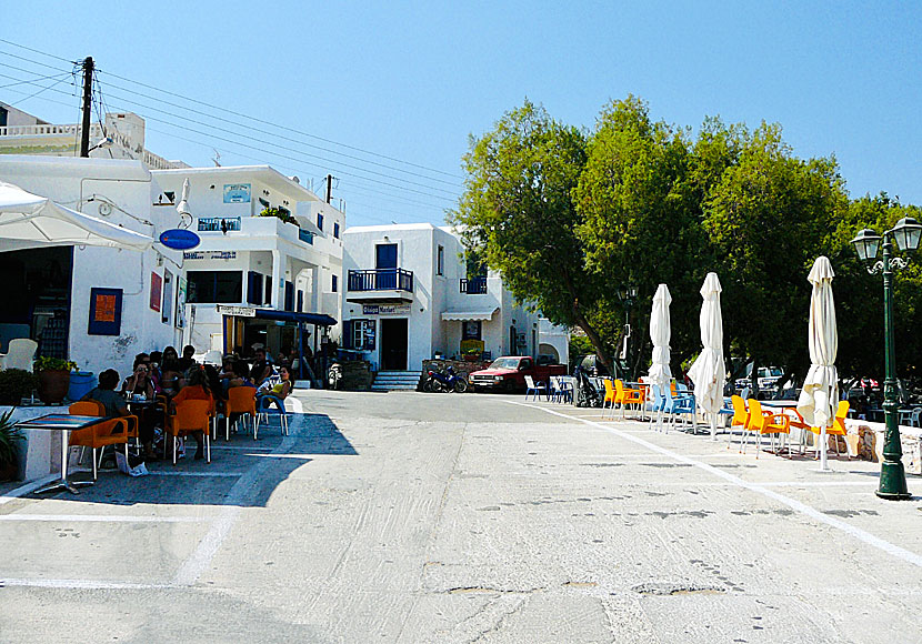 Restauranger, kaféer och tavernor i hamnen på Sikinos.