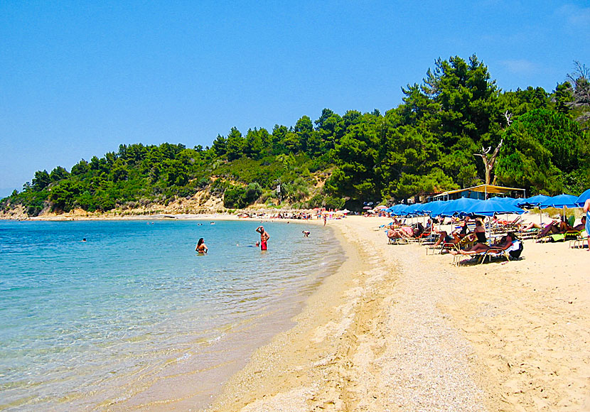 Agia Eleni beach. Skiathos.