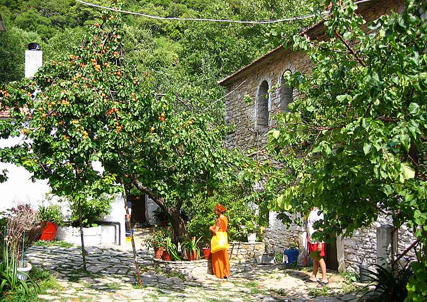 Klostret Evangelistria Monastery på Skiathos