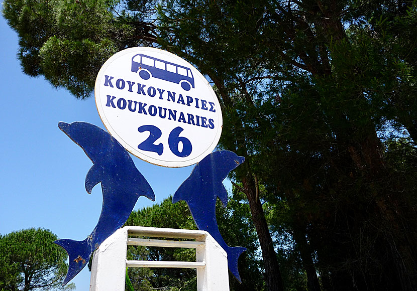 Busshållplats 26 vid Koukounaries beach på Skiathos.
