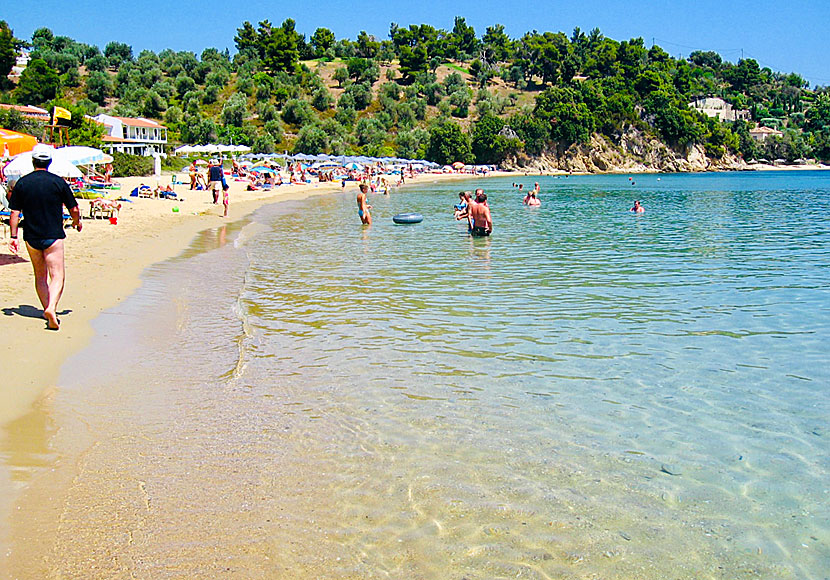 Den barnvänliga sandstranden Troulos beach på Skiathos i Sporaderna. 