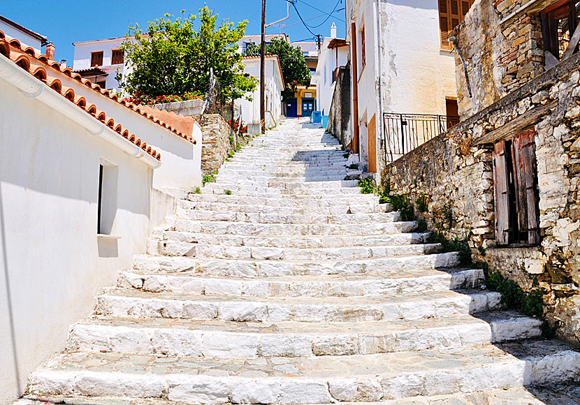 En av många trappor i Glossa på Skopelos.