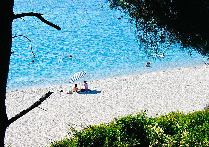 Kastani beach på Skopelos var en oas innan stranden exploaterades. 