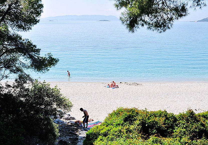 Kastani beach på Skopelos i Grekland.