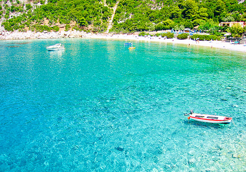 Missa inte Limnonari beach när du reser till Agnontas på Skopelos i Grekland.