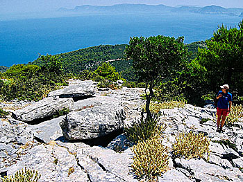 Sendoukia Tombs på Skopelos.