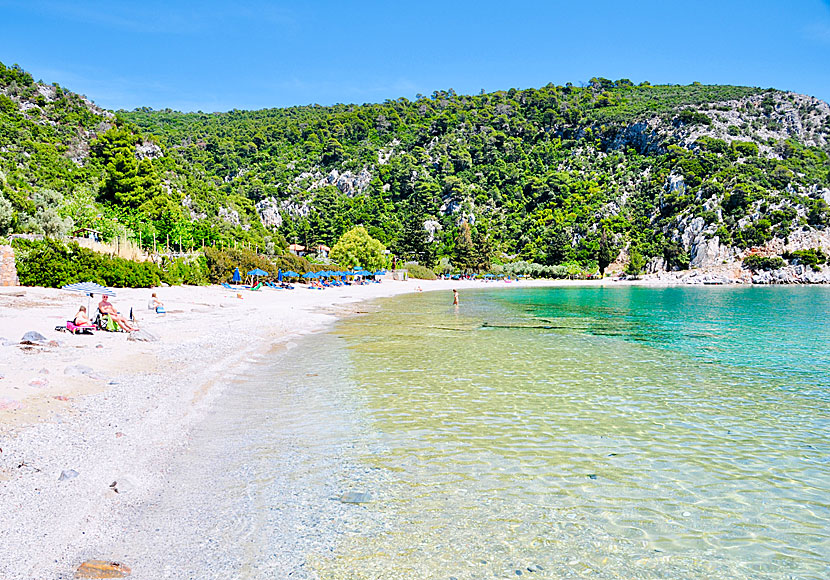 Stranden i Limnonari är en av de bästa stränderna på Skopelos.