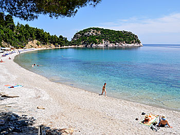 Stafilos beach på Skopelos.