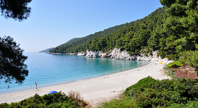 Kastani beach. Skopelos.