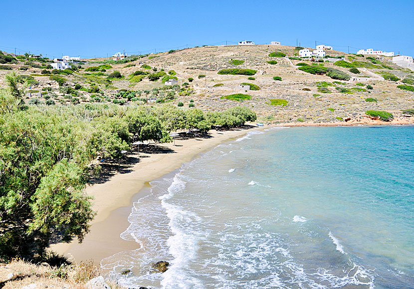 Syros bästa stränder. Lotos beach.  
