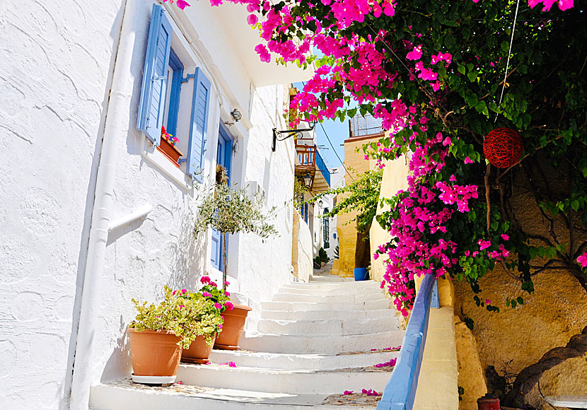Ano Syros är en nästan lika fotogenisk by som Chora på Amorgos. 