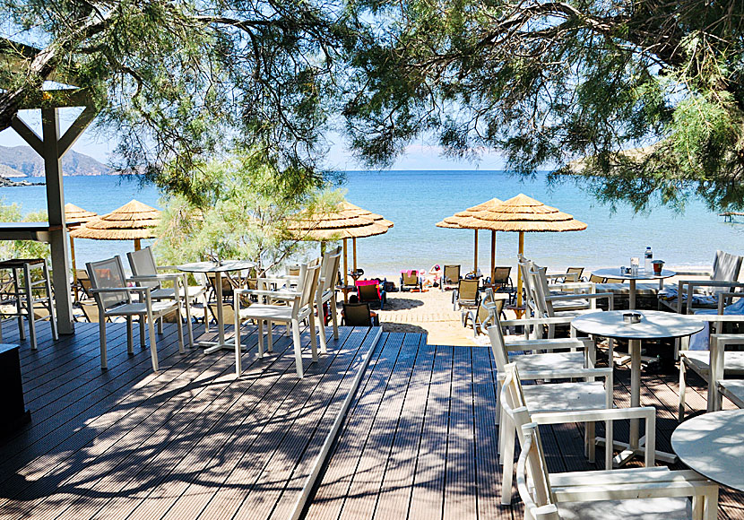 Delfini Beach Bar ligger på krypavstånd till stranden. 