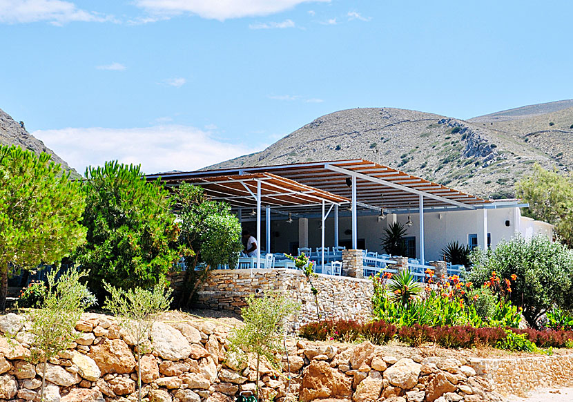 Tavernor och restauranger vid Delfini beach nära byn Kini på Syros.
