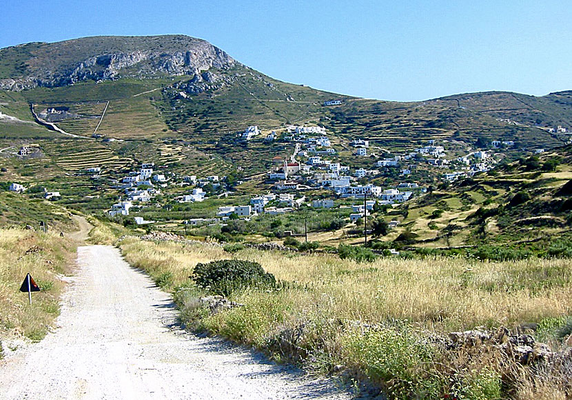 Från Kini är det bara 2 kilometer till Delfini beach på Syros.