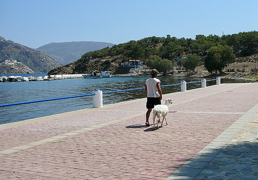 Den lilla ön Telendos i Grekland passar dig som söker lugn och ro samt absolut tystnad.  