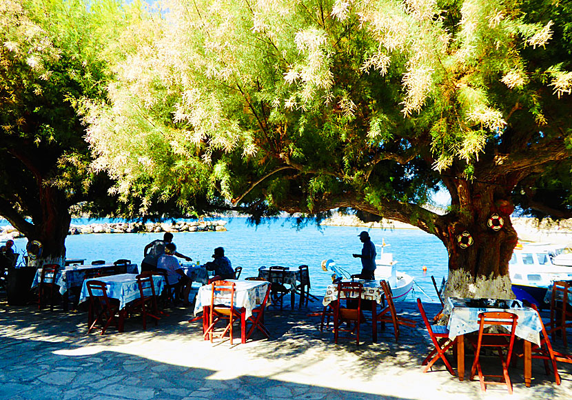 Taverna To Delfini i fiskehamnen i Agios Antonios på Tilos.