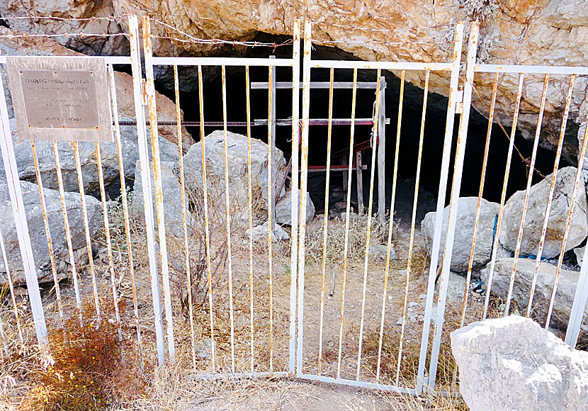 Dvärgelefanter och minielefanter i Charkadios cave på Tilos i Grekland.  