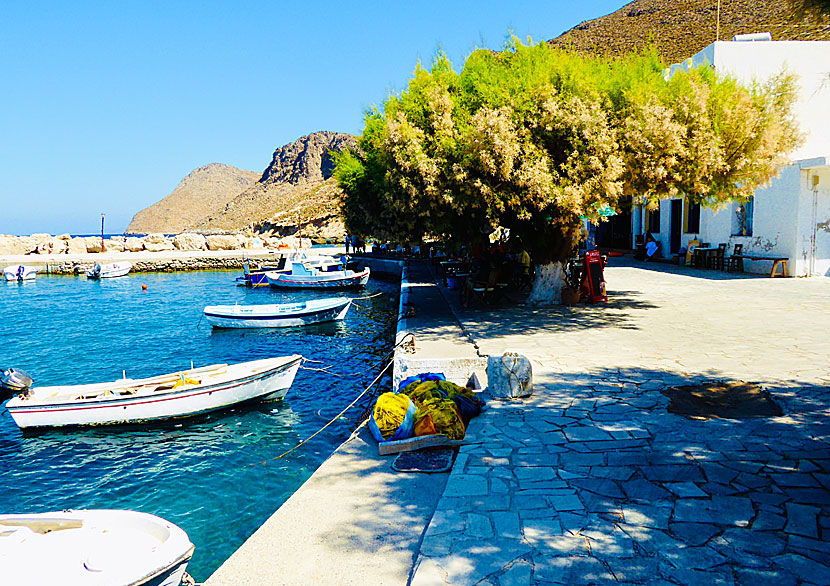 Taverna To Delfini i fiskehamnen i Agios Antonios.