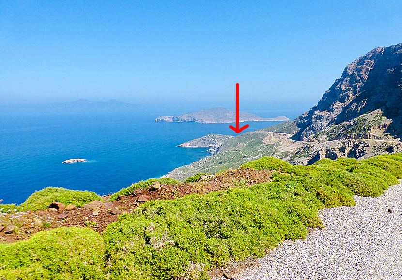 På öarna Gaidouronisi och Vrachonisida Giakoumi på Tilos i Grekland häckar rödnäbbad trut. 