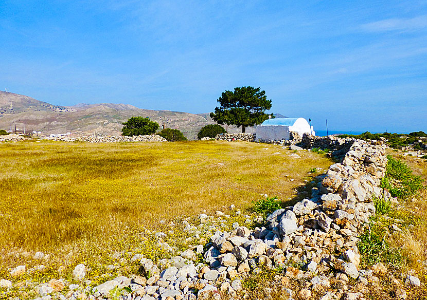 M&aring;nga vandrare p&aring; Tilos passar p&aring; att vila i skuggan utanf&ouml;r Agios Ioannis innan de forts&auml;tter vandra. 