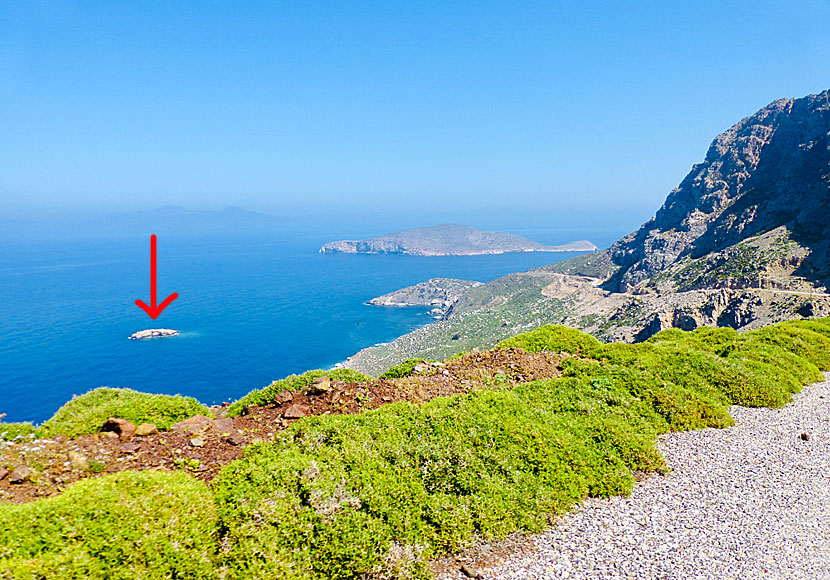 På den lilla ön Vrachonisida Giakoumi på Tilos häckar rödnäbbad trut. 