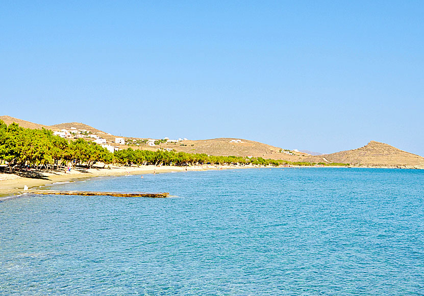 Stranden Agios Fokas på Tinos.