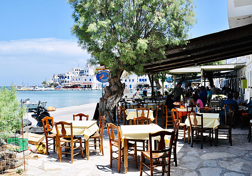 Det finns många restauranger som serverar mycket god grekisk mat i Panormos.