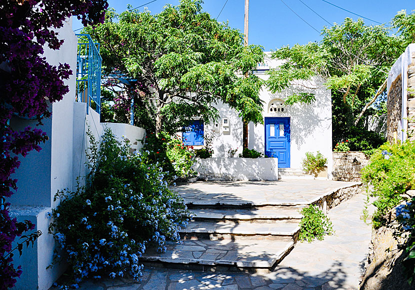 Volax är en av Tinos fem vackraste byar. 