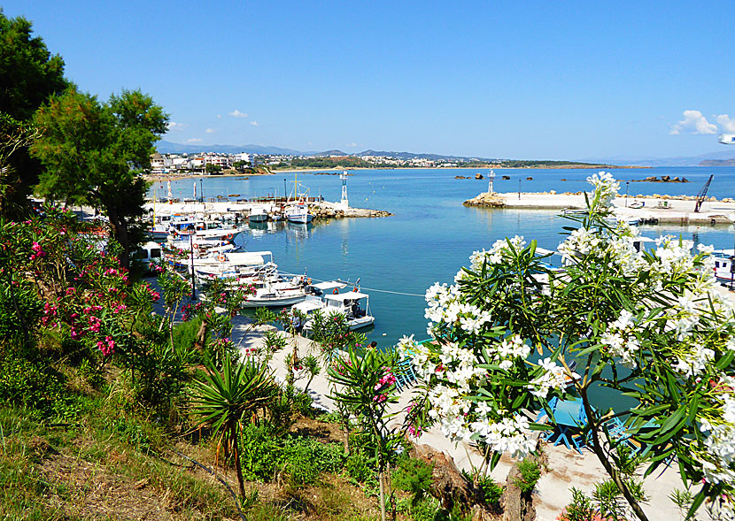 Kreta är en av Kalimeras favoritöar i Grekland.