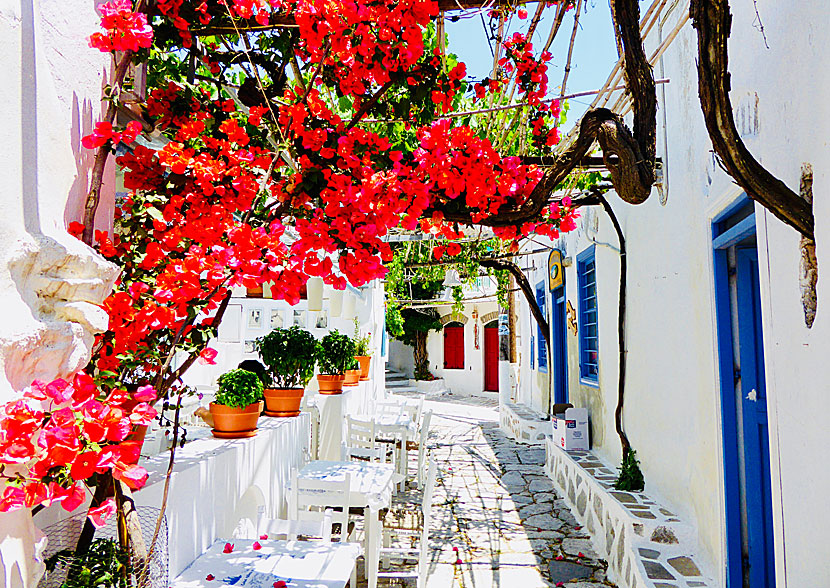 Chora på Amorgos är en av Kykladernas och hela grekiska övärldens finaste byar.