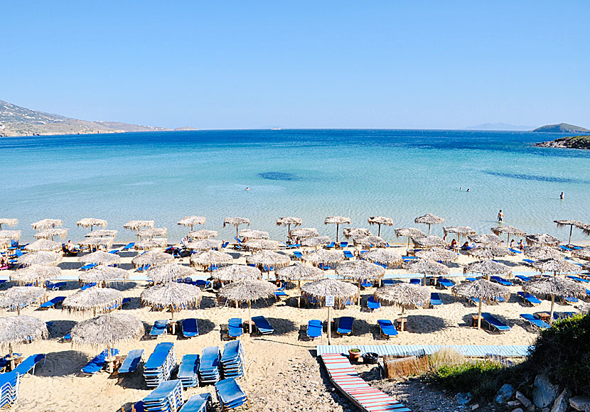 Psili Amos beach på Andros mellan Gavrio och Batsi är en av Kykladernas mest barnvänliga sandstränder.
