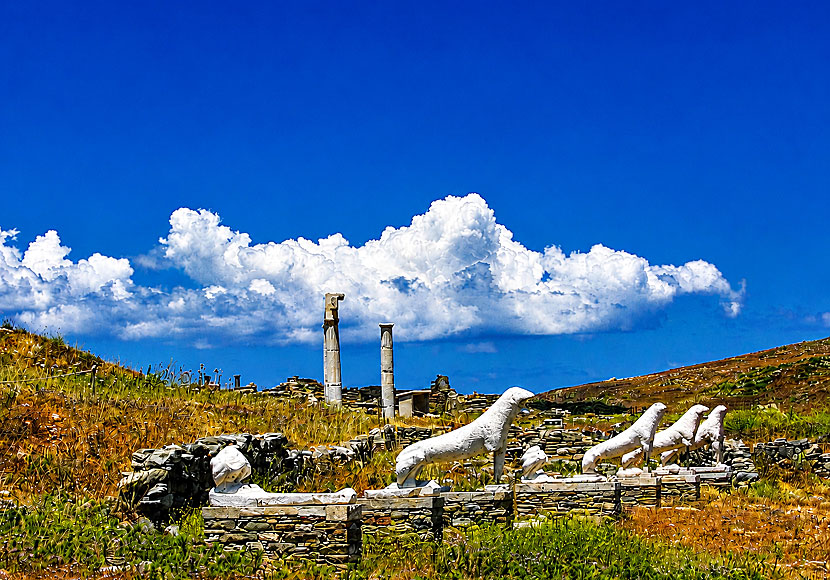 Kopior av de ber&ouml;mda lejonstatyerna p&aring; Delos n&auml;ra Mykonos i Kykladerna. 
