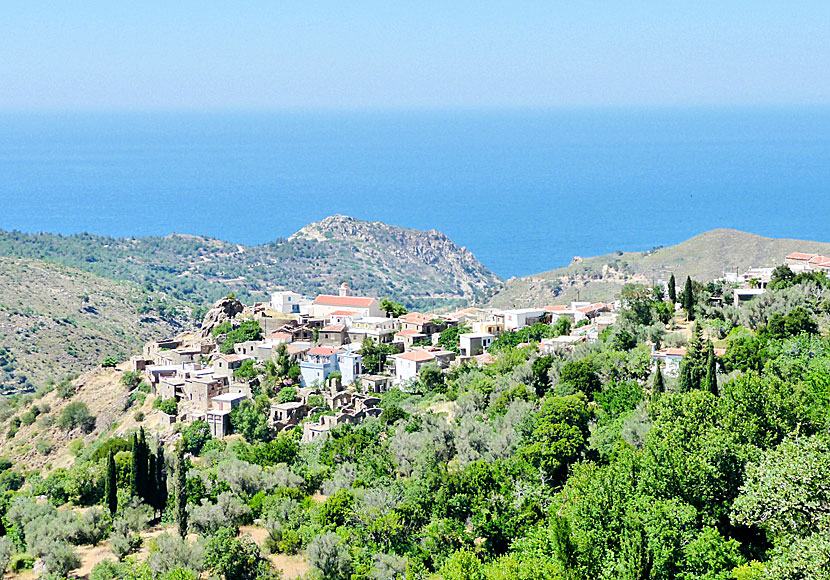 De allra flesta byarna på Chios i Grekland är helt opåverkade av turism, som byn Kambi ovan.