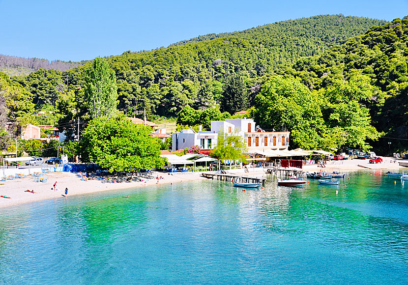 Byn och stranden Agnontas på ön Skopelos i Grekland får man inte missa. 