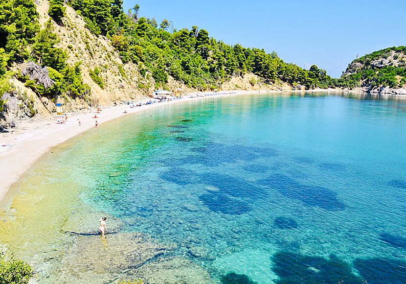 Stafilos beach är den strand som ligger närmast Skopelos stad. 