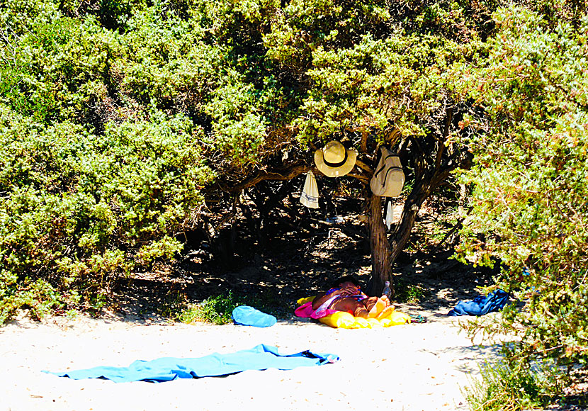 Vildcamping är vanligt på öar som Anafi och Donoussa, och här i Aliko på Naxos.