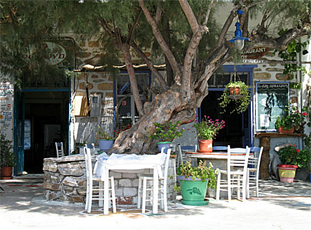 Restaurang Vitsentzos i Katapola.